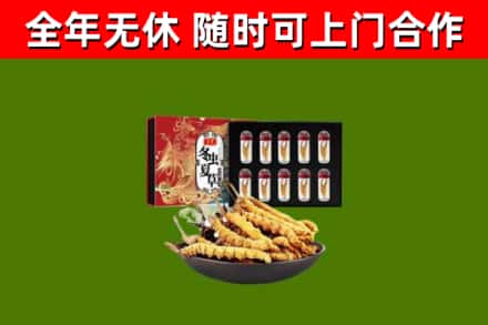 林口县回收冬虫夏草价格