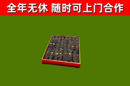 林口县回收海参